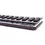 W-Hydra 2 - 16-fach-SCART-Umschalter, neue Version