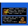 Battletoads & Double Dragon for NES