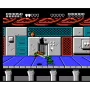 Battletoads & Double Dragon for NES