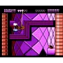 Battletoads & Double Dragon for NES