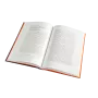 Die Geheimnisse von Monkey Island Book Cover