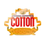 Cotton 100% Collector's Edition for Nintendo Switch