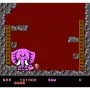 Rod Land - Collector’s Edition for NES