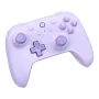 8BitDo Ultimate 2C Funk Controller in Schwarz