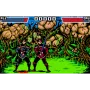 Star Blader for Atari Lynx - Fun Battle Action
