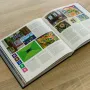 Das inoffizielle GBA Pixelbuch - Pixelkunst entdecken