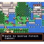 Dragonyhm (GameBoy Color) Cartridge