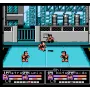 River City Fighting Legend NES cartridge