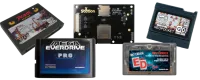 Everdrives / Flashcarts